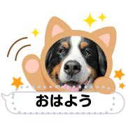 marowan_2
