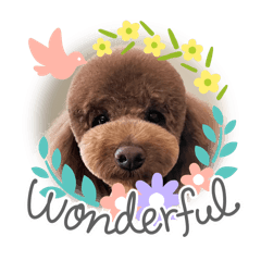 jujutamago_20240316175953