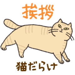 kurumushi cat3