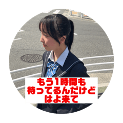 sakura_20240316182929