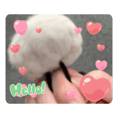 My love videos 0001