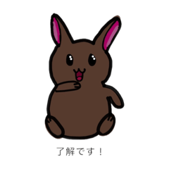 sakura_20240317022318