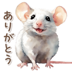 Soft watercolor fancy rat