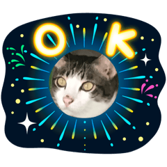 Lukmeewarintorn_20240317130308