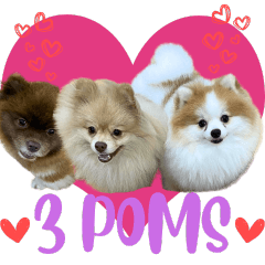 WOOFME WITH 3 POMS