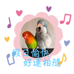 阿母的乖孫～藍梅寶貝蛋