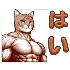 Everyday life of a muscular cat