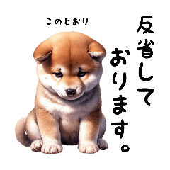 Shiba Inu stamps for daily use pt1