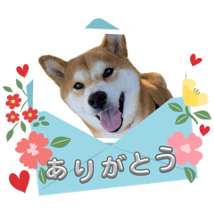 yuka_20240317224301
