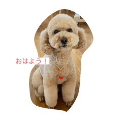 kumasho_20240318062451