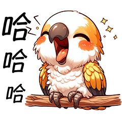 可愛的鸚鵡-日常對話