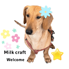 Milk craft