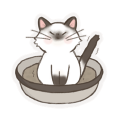 霹靂提拉米蘇oreo德魯伊一世