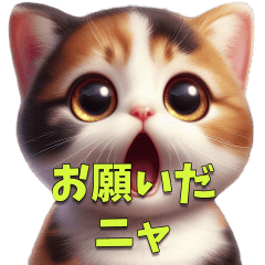 Chiisuke's little cat illustration