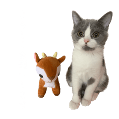 yuka_20240319001941