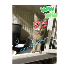 yuka_20240319101522