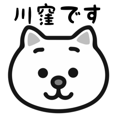 Kawakubo white cats sticker