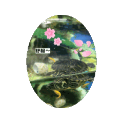 熱可可的動物動態貼圖（1）