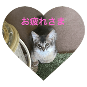 Merry_20240318222402