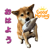 momochan2024.03.19