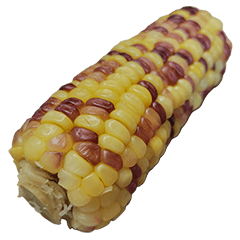 食物系列 : 一些玉米 #16