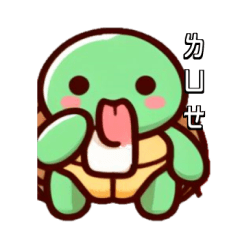 Aiyo turtle