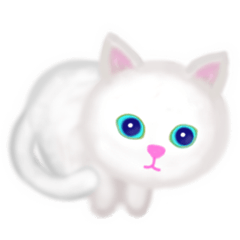 The white cat who snuggles up to you