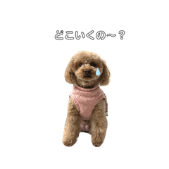 momo stamp_20240319204506