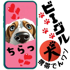 Beagle Doggo phone2<sticker>Daily Phrase