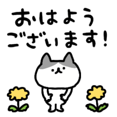 Shoboi hachiware cat