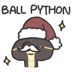 Little Ball Python