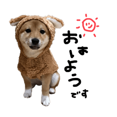 mamesibayuzu