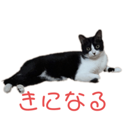 hinata fukuzono_20240319214457