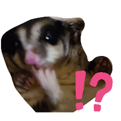 奇奇小寶寶大公主啾啾