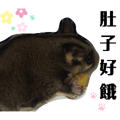 奇奇大寶寶小公主