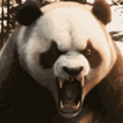 ⚫Bergerak! Panda Raksasa yang Marah