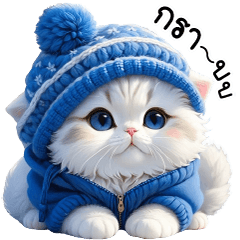Cat Cute wool hat