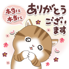 Greetings of small cats 42