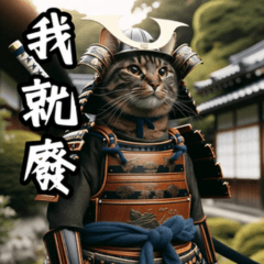 just samurai cat