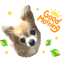 Chisa_20240320143918