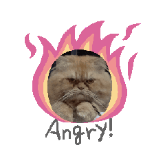 thanks mycute_20240320170918