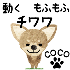 Chihuahua "COCO" MOVE STICKER