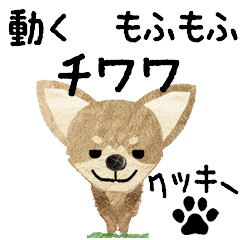 Chihuahua "Cookie" MOVE STICKER