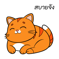 Fat orange cat, bright and cute man