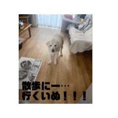 Mayu_20240320191119