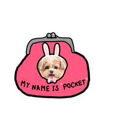 Pocket.thedoggo ver.2