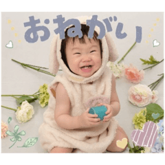 sakura_20240320233212