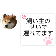 yuka_20240321013831