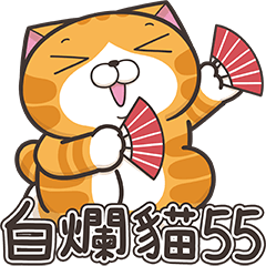 Lan Lan Cat 55 - Sticker Arranging
