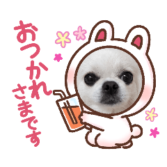 mofumofu107